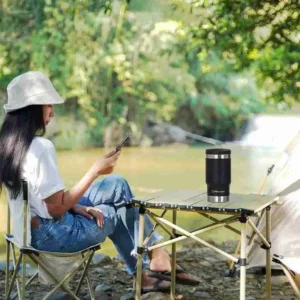 Westinghouse 3-in-1 insulated can cooler - vacuum insulated, condensation-free